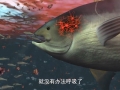 n-Խȫҕld˾WPYԴ