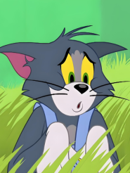 50؈Ĵ԰ȫM^ӮƬȫd˾WPYԴ